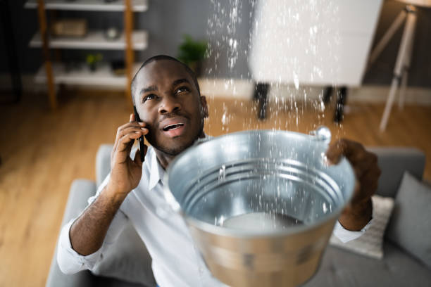 Best 24-hour water damage restoration  in Forestbrook, SC