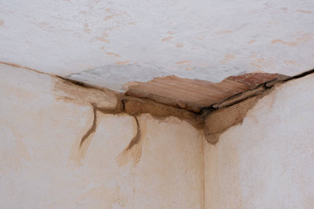 Best Water damage contractors near me  in Forestbrook, SC