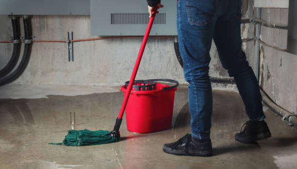 Best Water damage restoration near me  in Forestbrook, SC