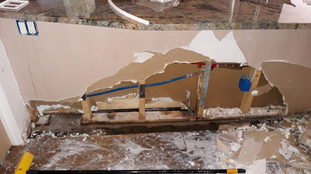 Best Ceiling water damage repair  in Forestbrook, SC