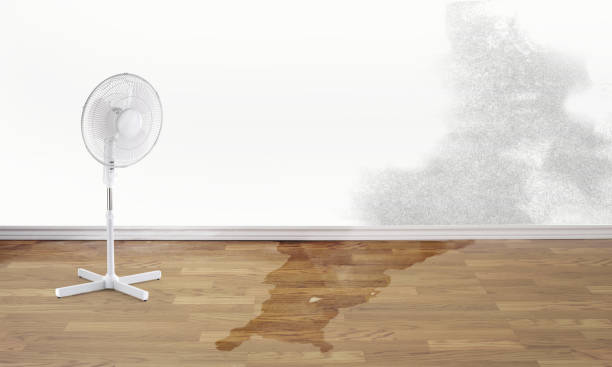 Best Flood restoration services  in Forestbrook, SC