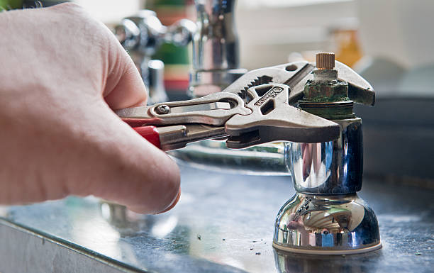 Best Water damage mitigation services  in Forestbrook, SC