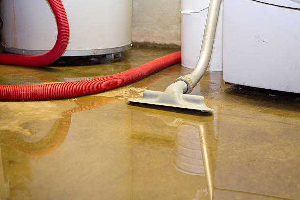 Best Water damage restoration near me  in Forestbrook, SC