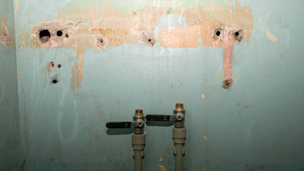 Best Emergency water damage restoration  in Forestbrook, SC