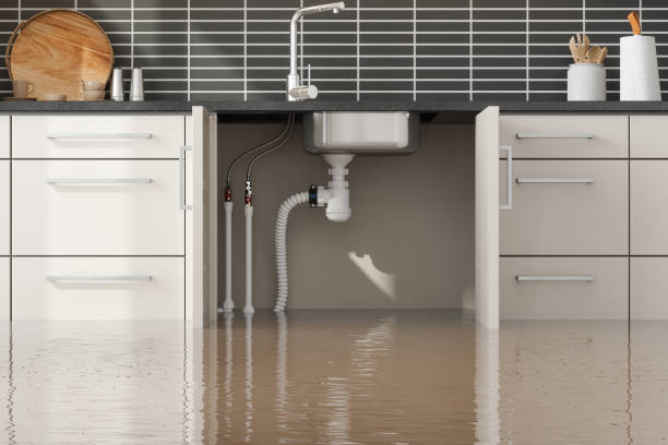 Best Sewage cleanup and water damage restoration  in Forestbrook, SC