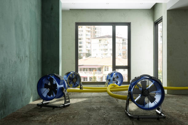 Best Water damage mitigation services  in Forestbrook, SC
